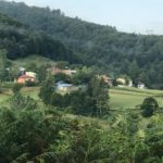 IMG-20190816-WA0090