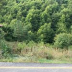 IMG-20190816-WA0097