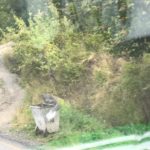 IMG-20190816-WA0102