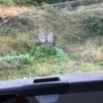IMG-20190816-WA0109