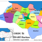 ordu ili yeniden idari düzenlenmeli1