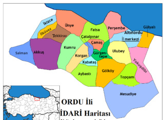 ordu-ili-yeniden-idari-dC3BCzenlenmeli1.png