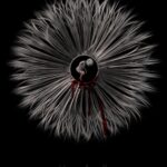 Semra Çam – Let me see the world1