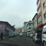 1EA7172F-D8CE-4F01-8536-DA4AD91D29DB