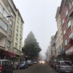 65C15056-9BBB-4229-ADA4-3CFCECCF5F4C