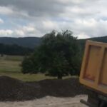 BDB87F98-7614-4131-B1AC-02451C5C8043