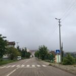 C1FE97A8-B3C0-439A-9EDD-7556784C1401