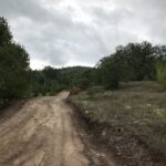 3311739E-84E7-4073-A843-490045A2801E