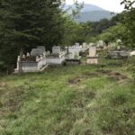 9875A43D-AED8-4D7D-AC99-420C7B968F9B