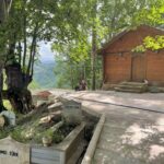 TARİHİ TÜRBEDE ÇALIŞMALAR TAM GAZ 5