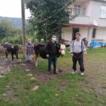 “HAYVAN OTELİ” YENİ SEZONA HAZIRLANIYOR (1)