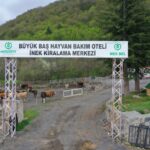 HAYVAN OTELİ” YENİ SEZONA HAZIRLANIYOR 5
