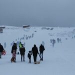 2022 argan kar fest13