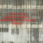 58549811-FD11-44C1-AF42-4820ED6817CE