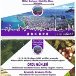 275859677_4432154973551959_7489267595044713807_n