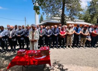 Bir Vasiyet, Bir Destan: Akkuşlu Şehidimiz Mehmet Efiloğlu’nun Adı Sonsuza Dek Yaşayacak!