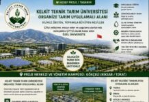 Akkuş-Niksar-Erbaa Bölgesinin Bitki ve Tarımı İçin Kurulacak Üniversite Sahip Çıkalım